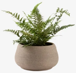 GRESSHUMLEMacetero GRESSHUMLE Ø23xA12 marrón