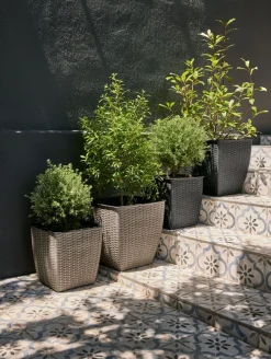 ISLOMCesto de jardín ISLOM 31x31x32 negro