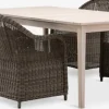 KOLLEN + GAMMELBYMesa KOLLEN L205 madera dura + 4 sillas GAMMELBY gris