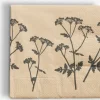 PHILIPServilletas de papel PHILIP 24x24cm 20 unidades